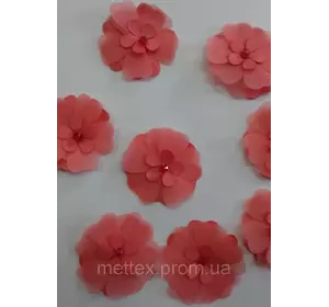 Цветы - коралл