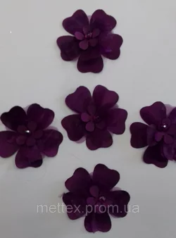 Цветы - фиолетовые
