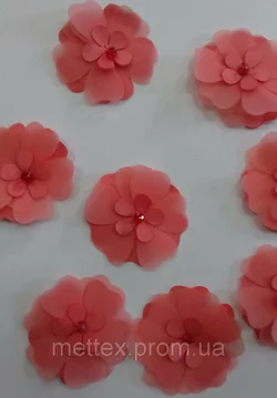 Цветы - коралл